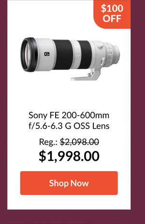 Sony FE 200-600mm f/5.6-6.3 G OSS Lens