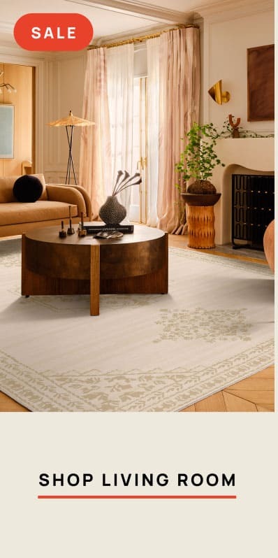 Shop Living Room 