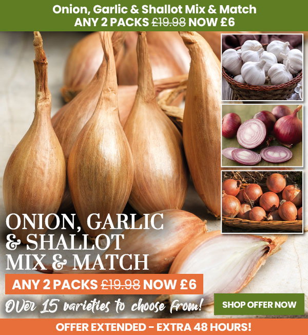 Mix & Match Onions, Garlic & Shallots