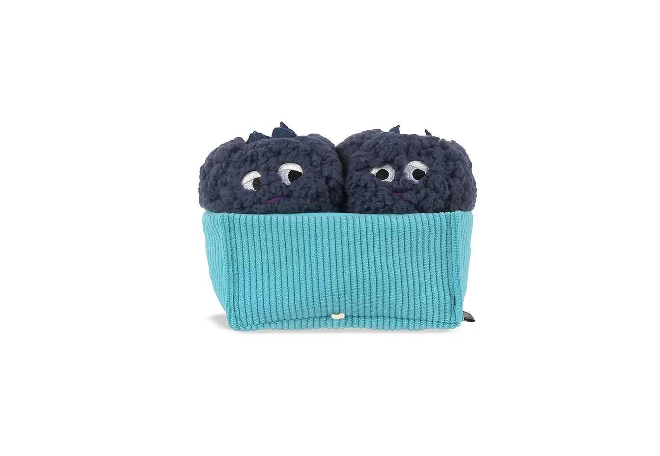 Image of Picked Fresh Blue Beg-rries