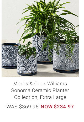 Morris & Co. x Williams Sonoma Ceramic Planter Collection, Extra Large - WAS $369.95 - NOW $234.97