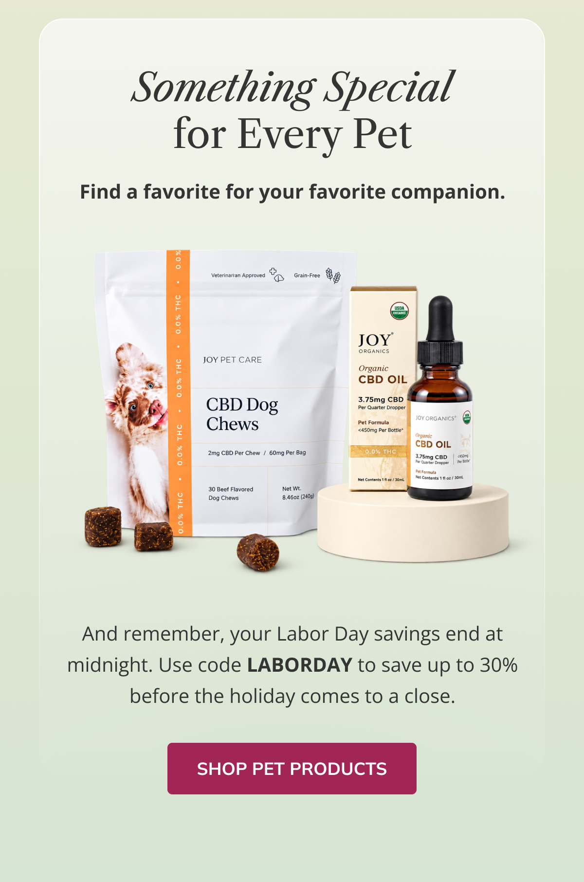 Shop Pet Products