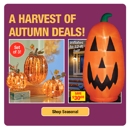 Seasonal
