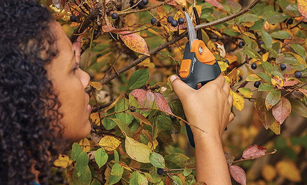 Fall Prep