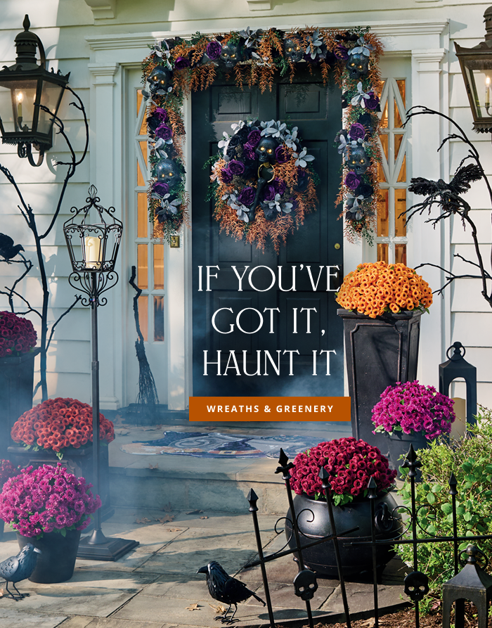 Shop Halloween Greenery