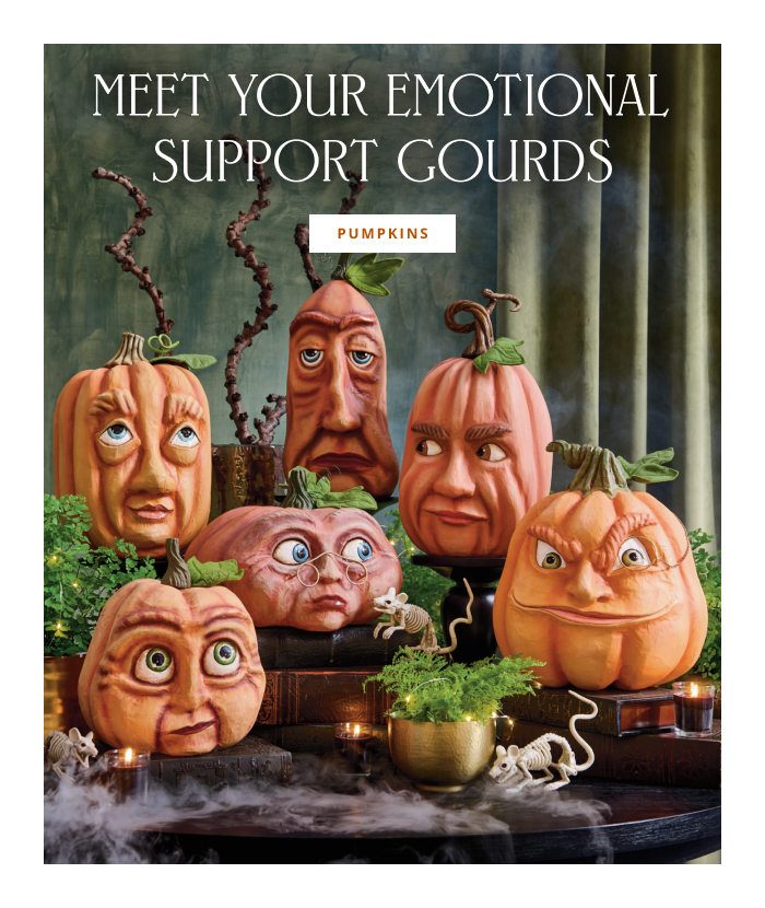 Shop Pumpkins
