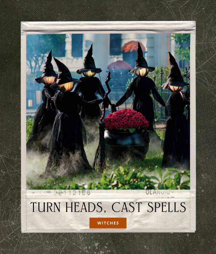 Shop Witches