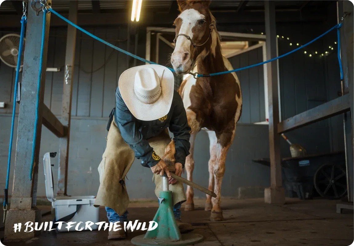 YETI® Built for the Wild