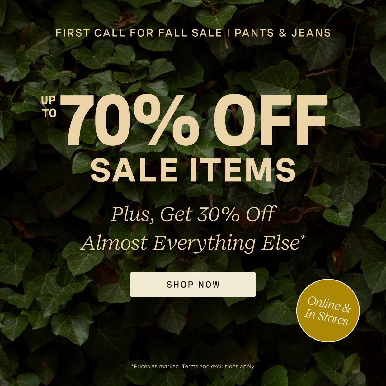 Shop Pants