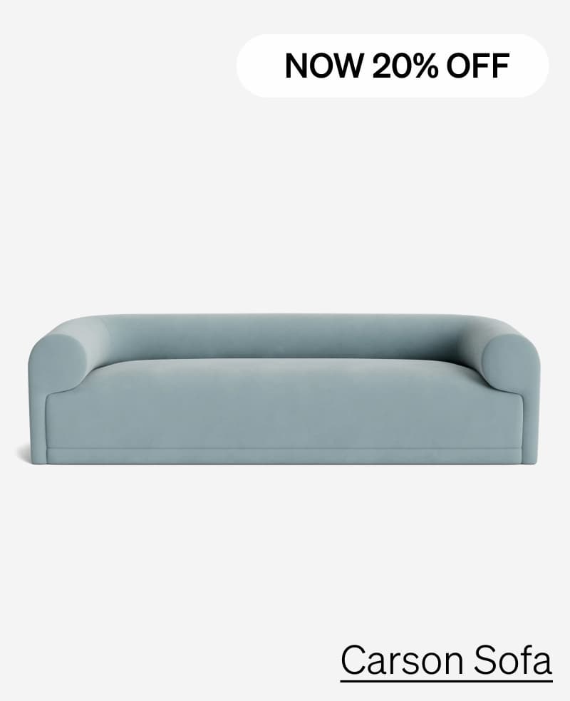 Shop Carson Sofa
