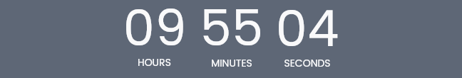 Labor Day Sale Countdown
