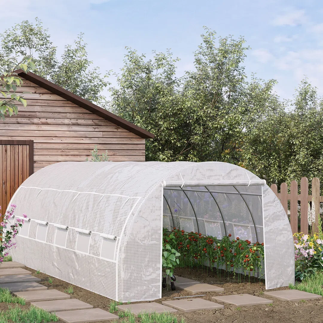 Anestis 6 x 3 x 2 m Polytunnel Greenhouse with Roll-up Side Walls White