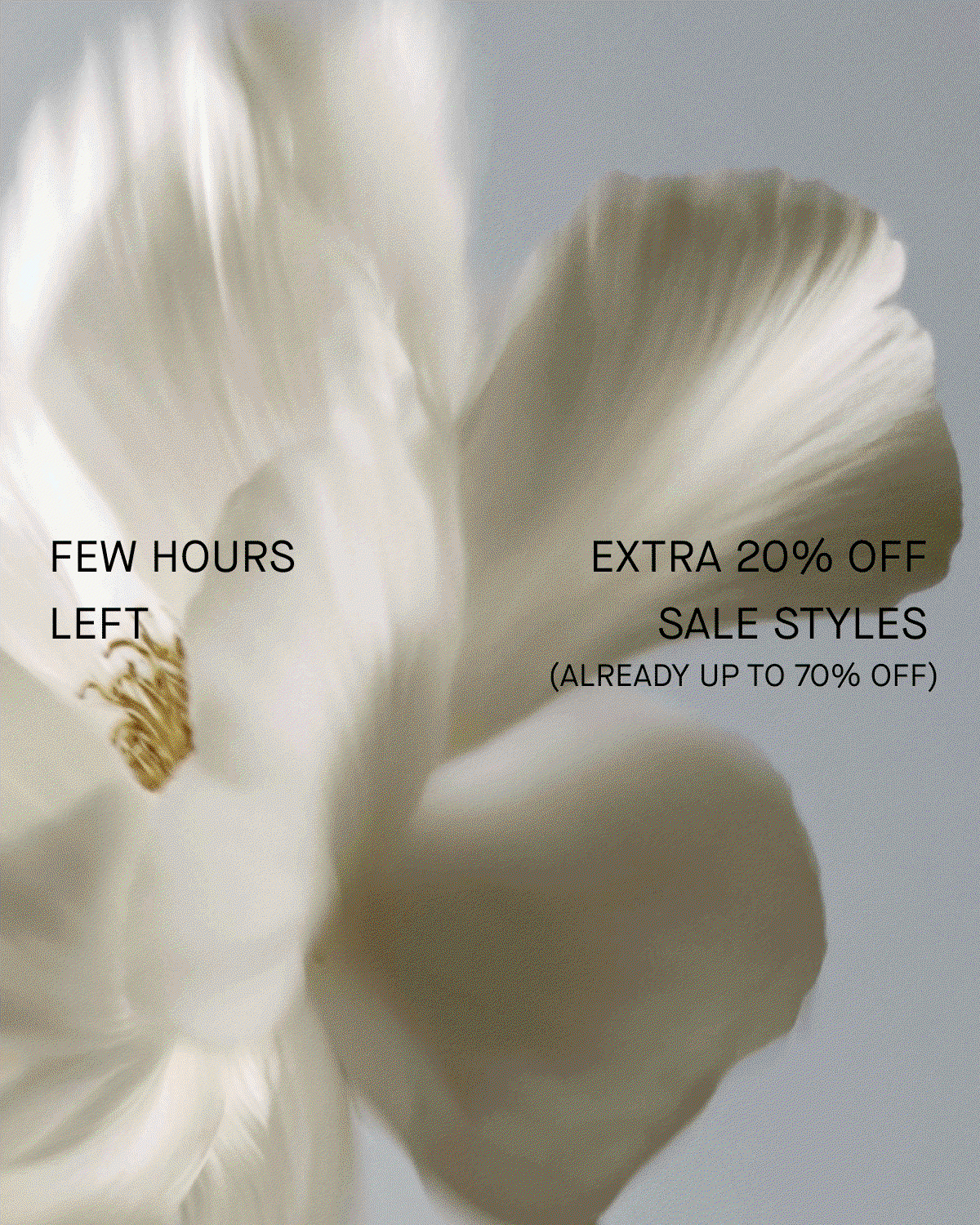 Promo | Few Hours Left | Extra 20% Off Sale Styles | (Already Up To 70% Off)