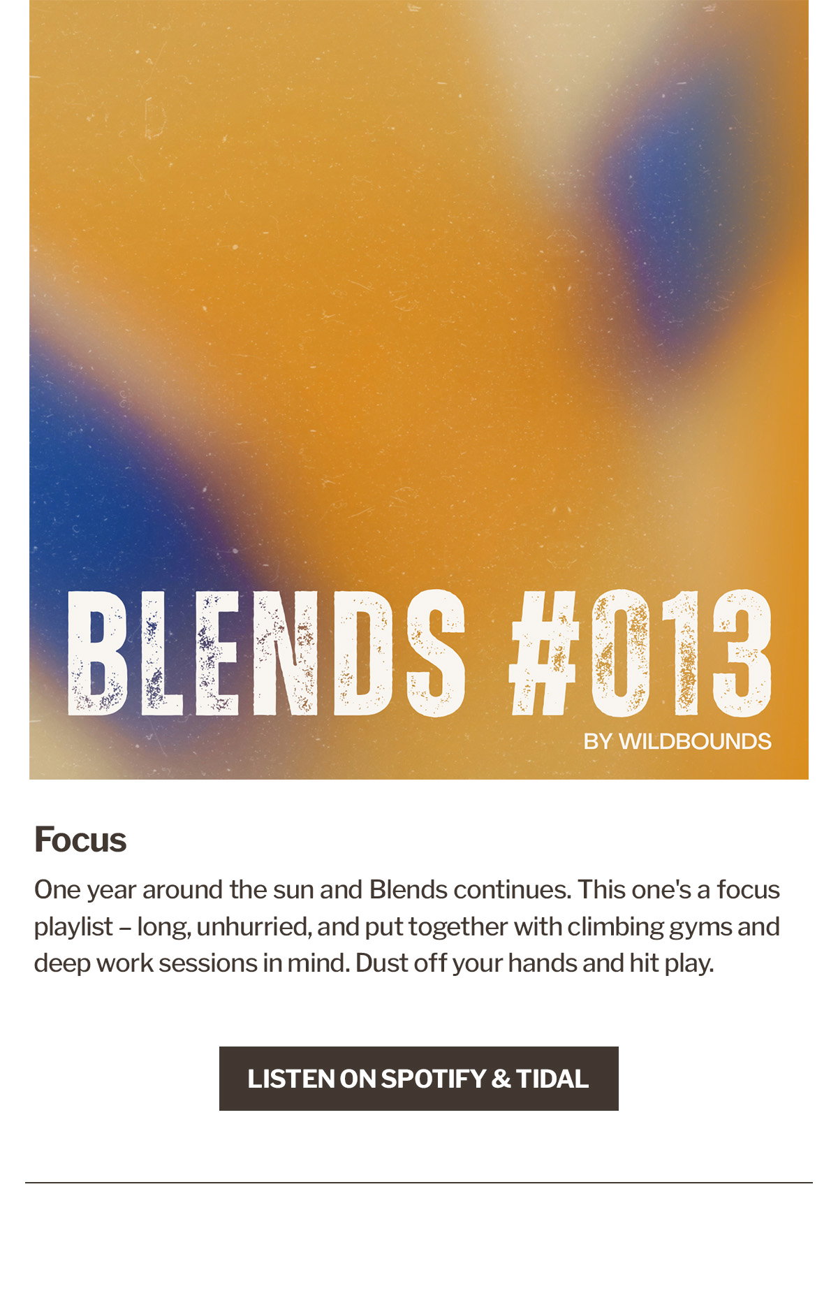 WildBounds Blends #013 | Focus | Curated Adventure Playlists | WildBounds