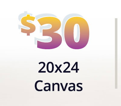 20x24 canvas for $30