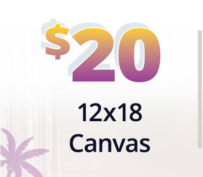 12x18 canvas for $20
