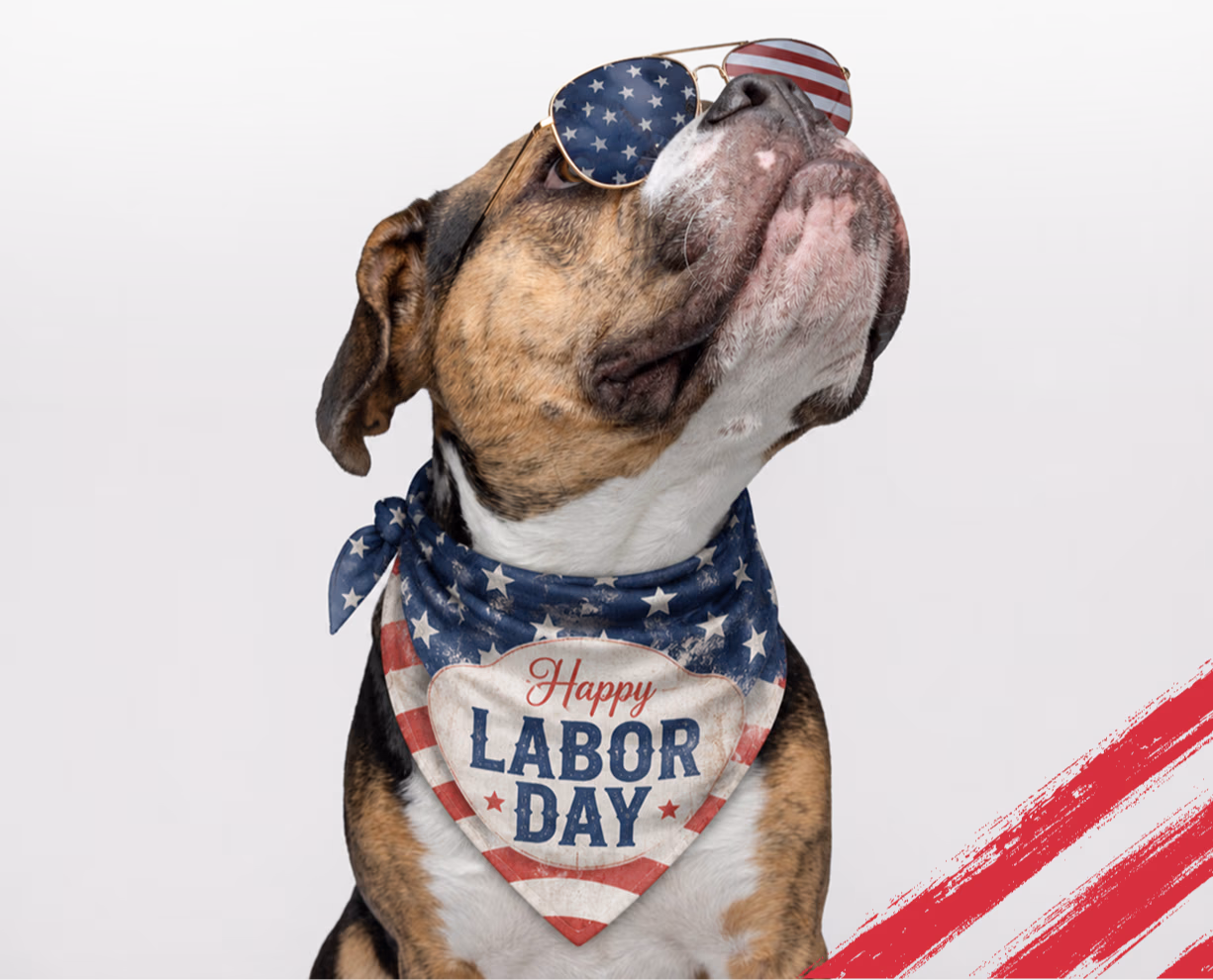 Labor Day 25% off