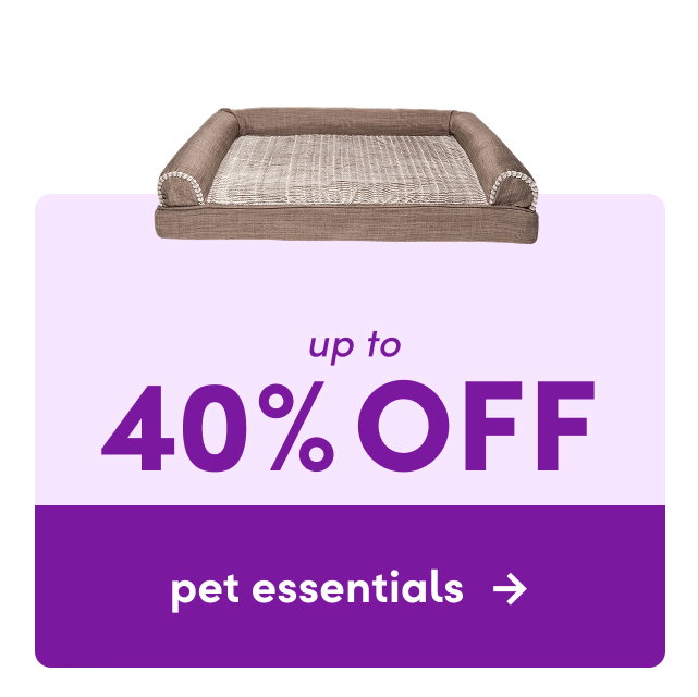 pet essentials clearance