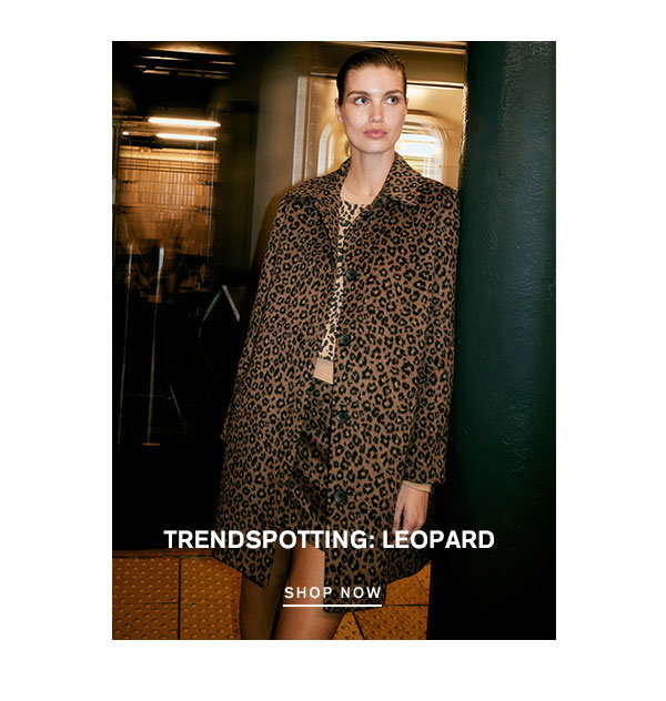 Shop the Leopard Trend
