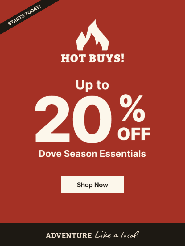 Hot Buys Start TODAY! Up to 20% Off Dove Season Essentials