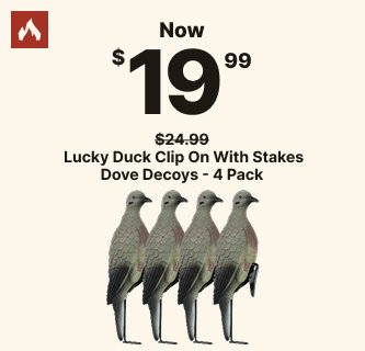 Lucky Duck Clip on Dove Decoys Now $19.99