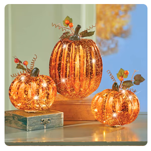 Lighted Pumpkins, Set of 3