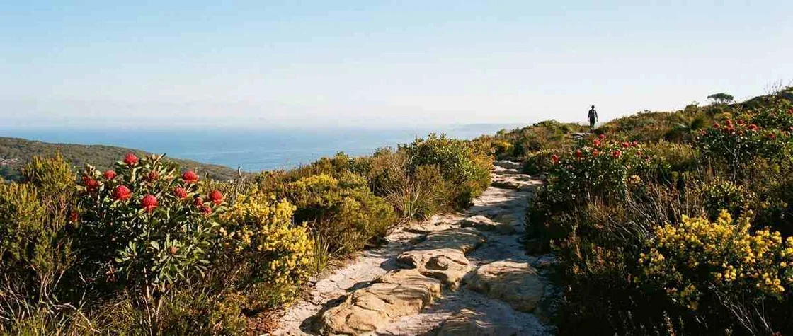 Hero Hiking Guide