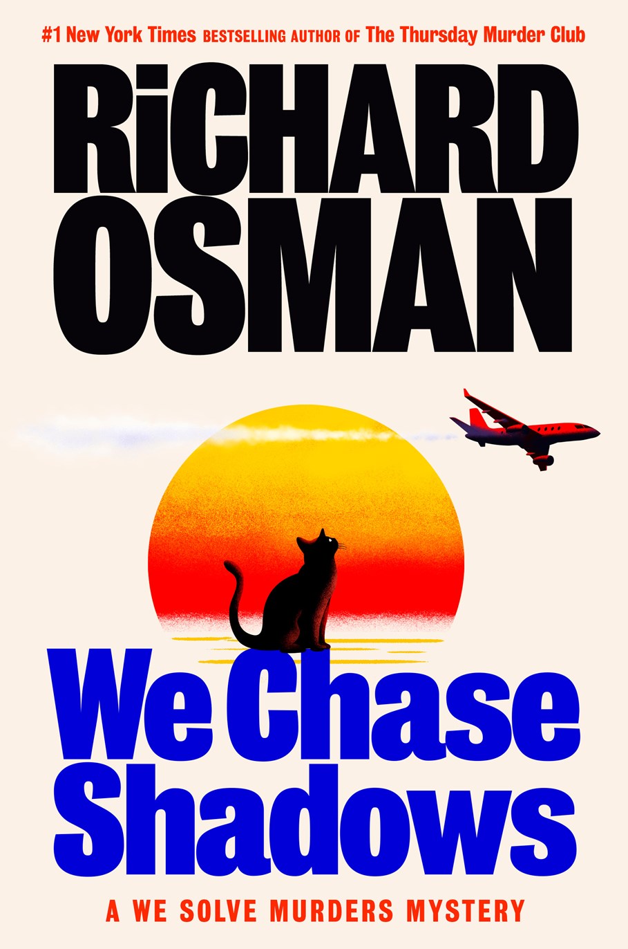 We Chase Shadows: A We Solved Murders Mystery