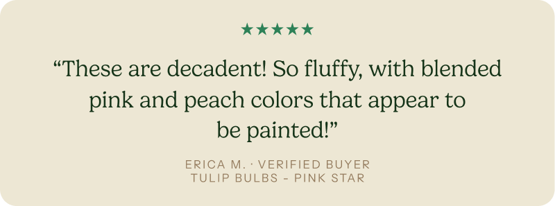 "These are decadent! So fluffy, with blended pink and peach colors that appear to be painted!"