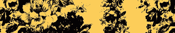 Stencilled edges with vintage floral wallpaper design