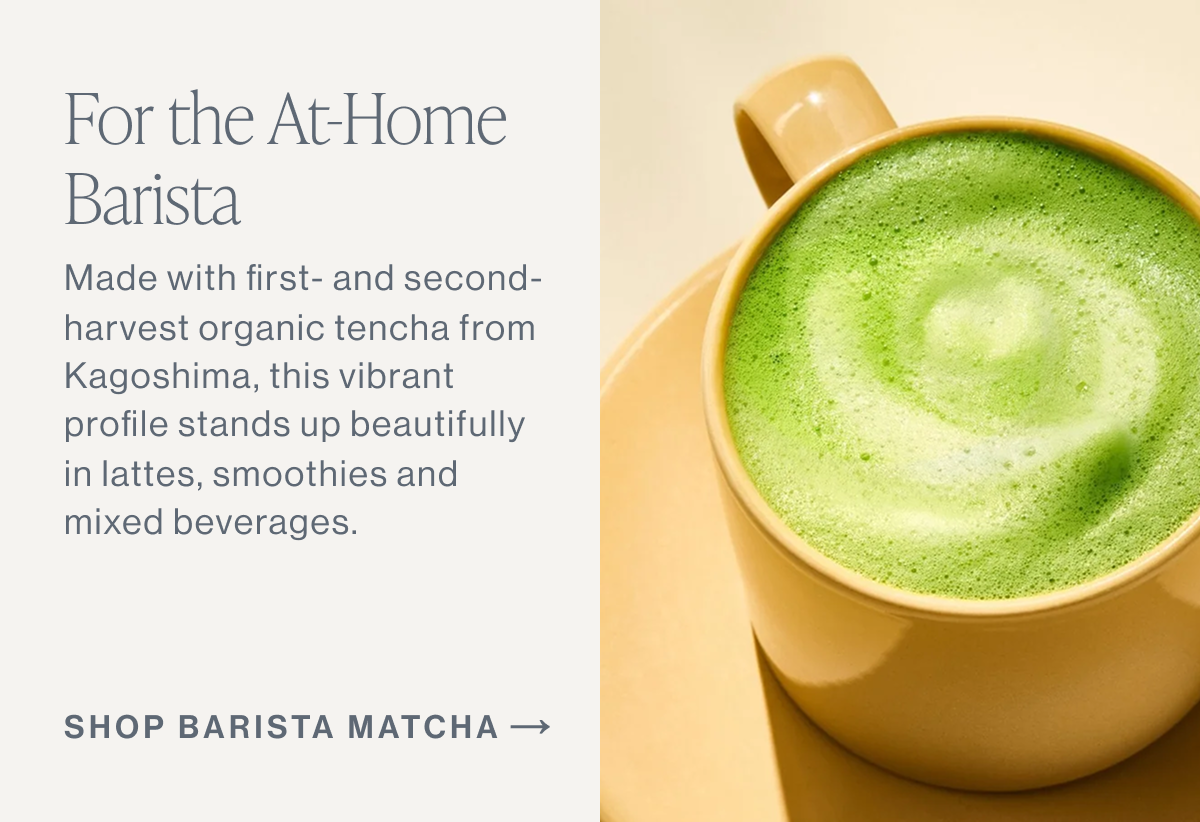 Barista Matcha