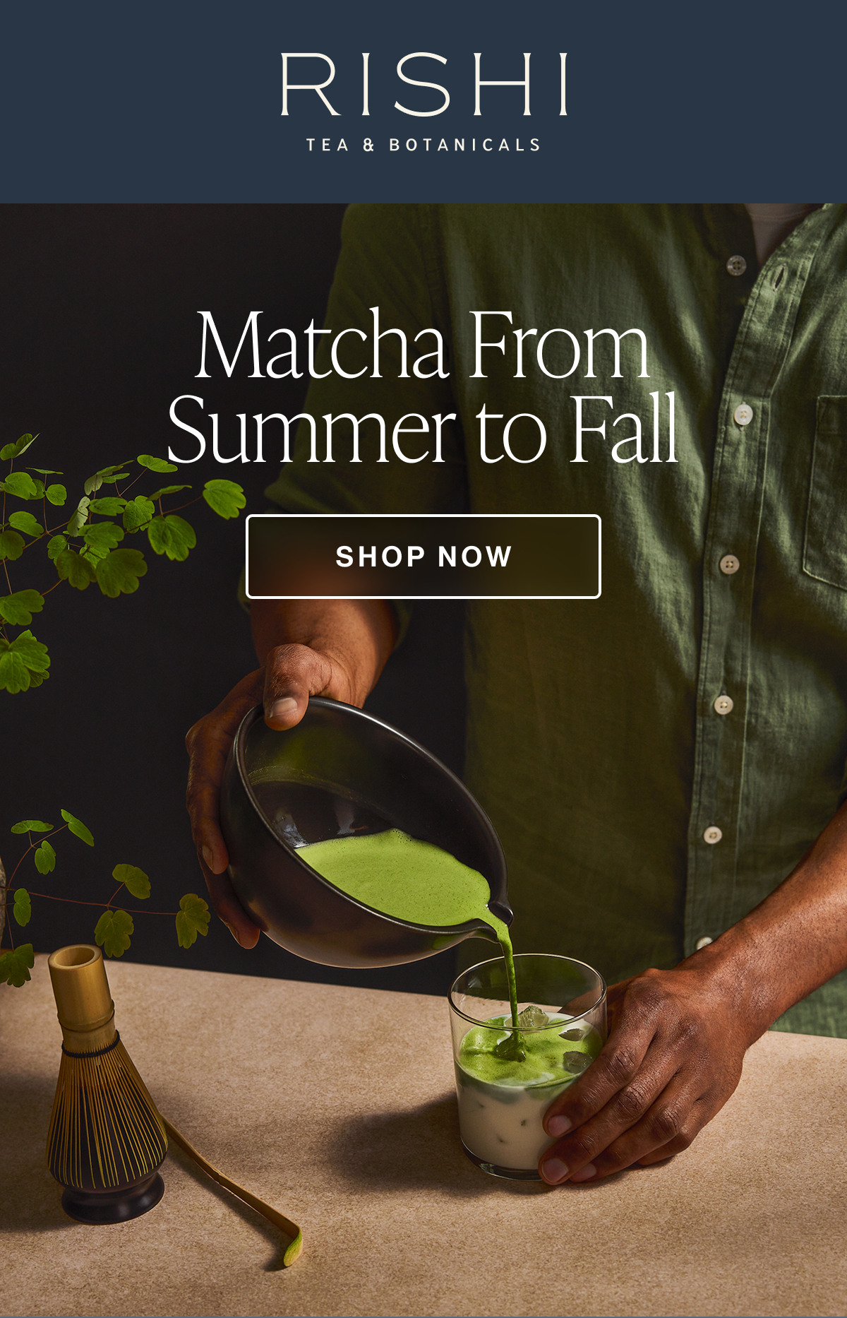 Shop Matcha