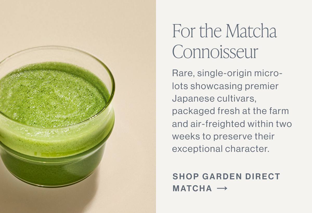 Garden Direct Matcha