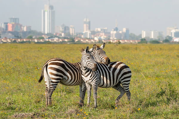 Nairobi