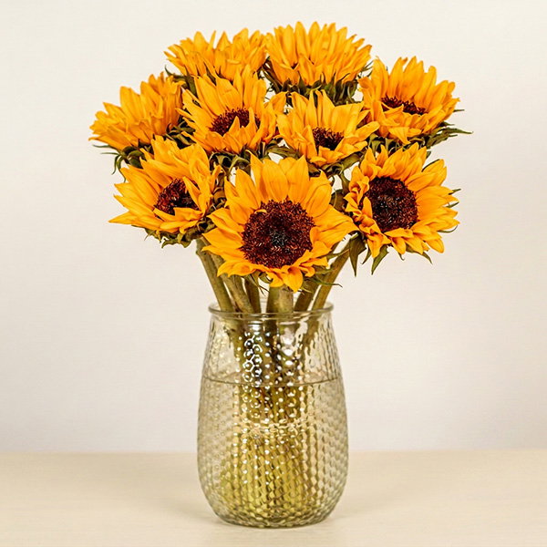 SUNSHINE DELIGHT