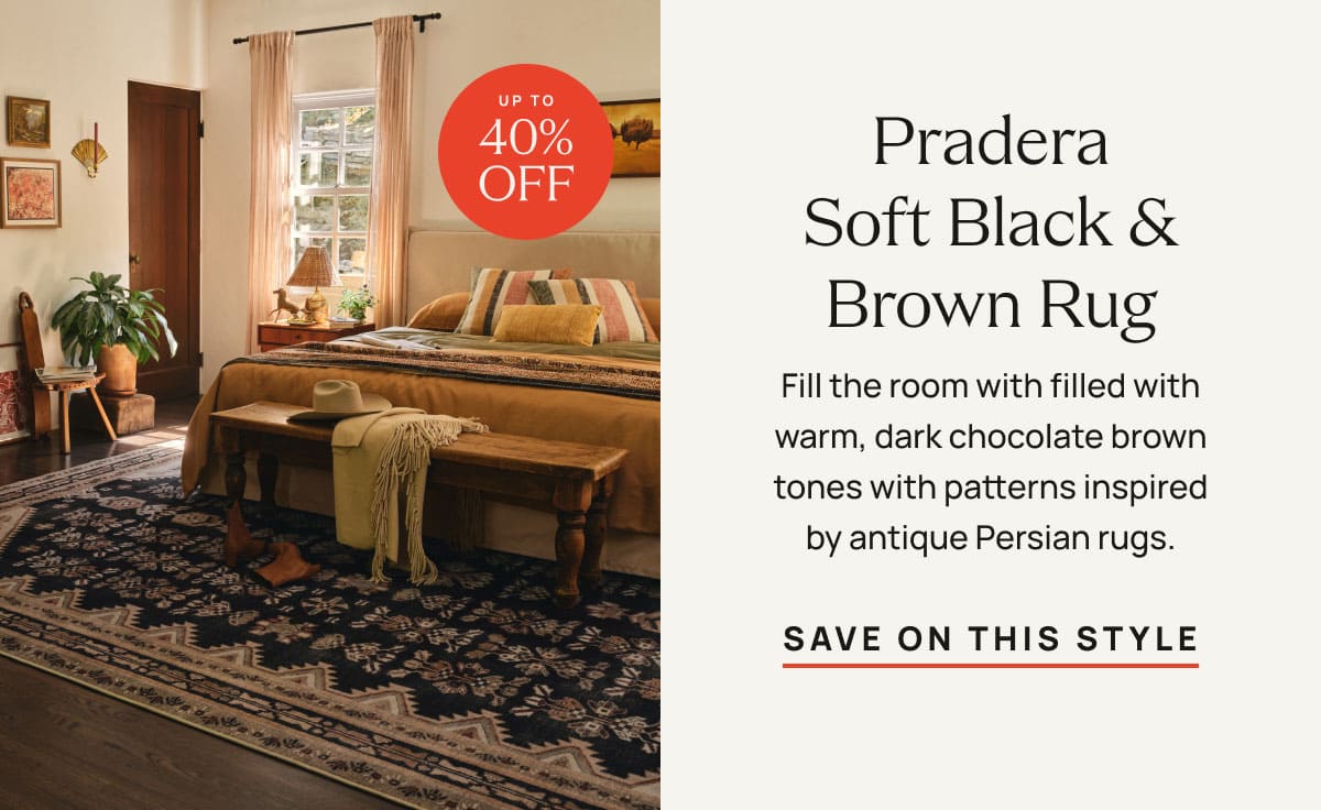 Pradera Soft Black & Brown Rug | Save On This Style 