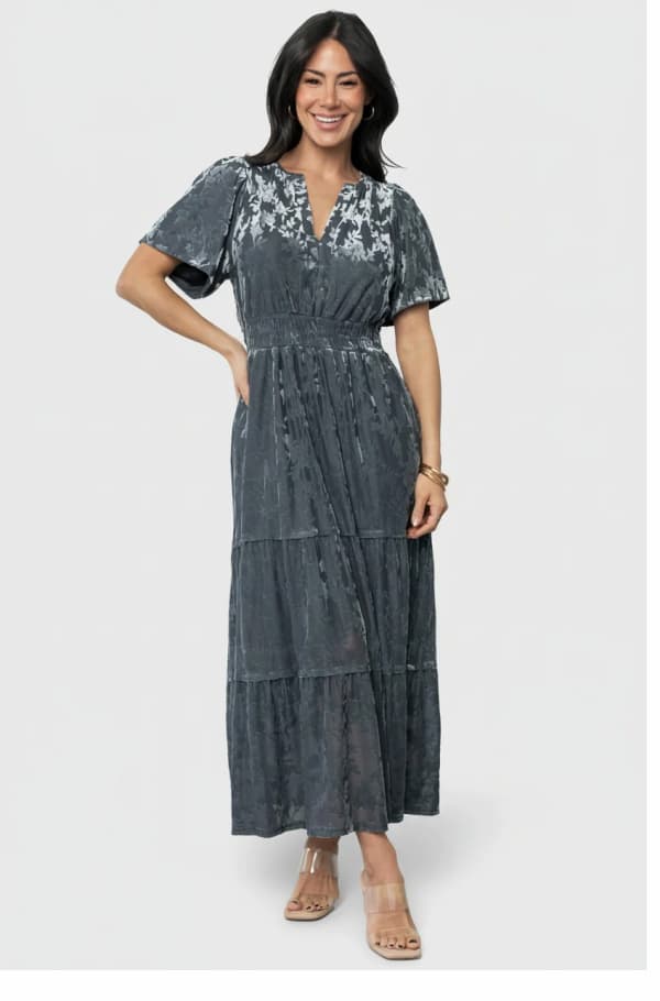 Bronwyn Velvet Dress