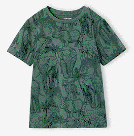 Printed boy's t-shirt - lichen