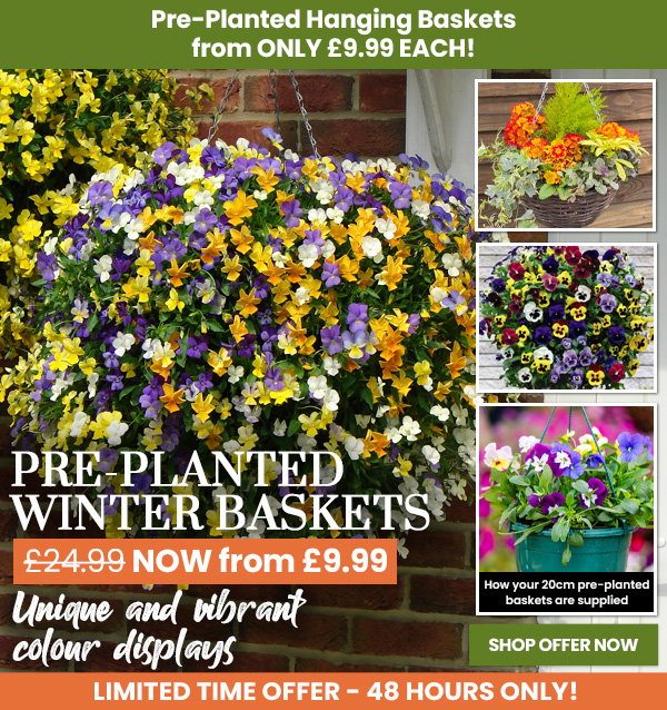 Mix & Match Baskets