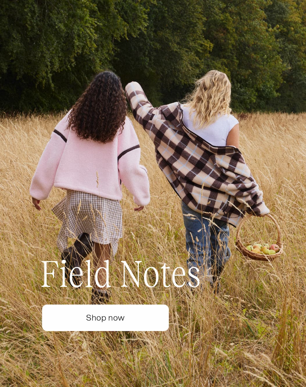 Field Notes early access