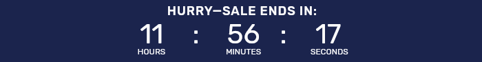 Countdown timer for Big Holiday Flash Sale.