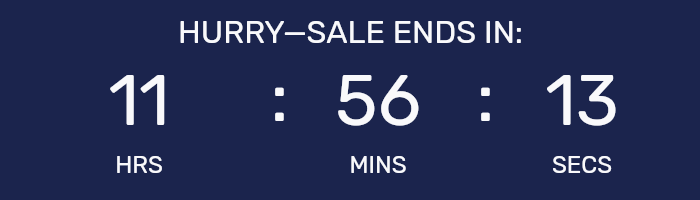 Countdown timer for Big Holiday Flash Sale.