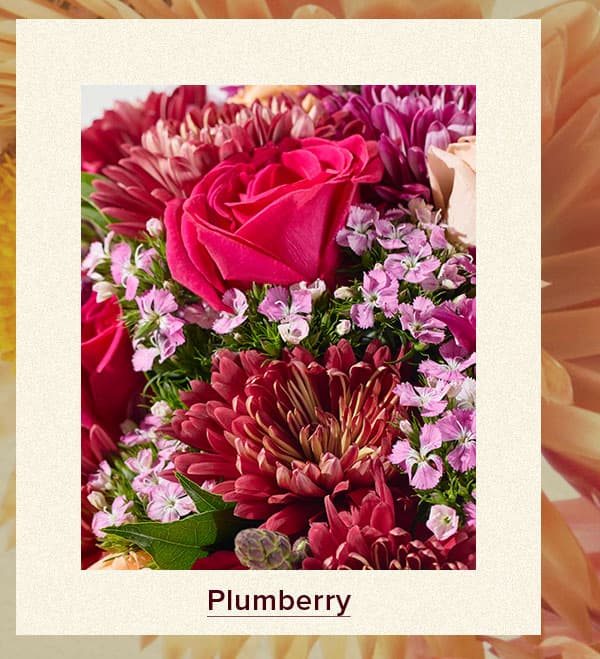 Plumberry