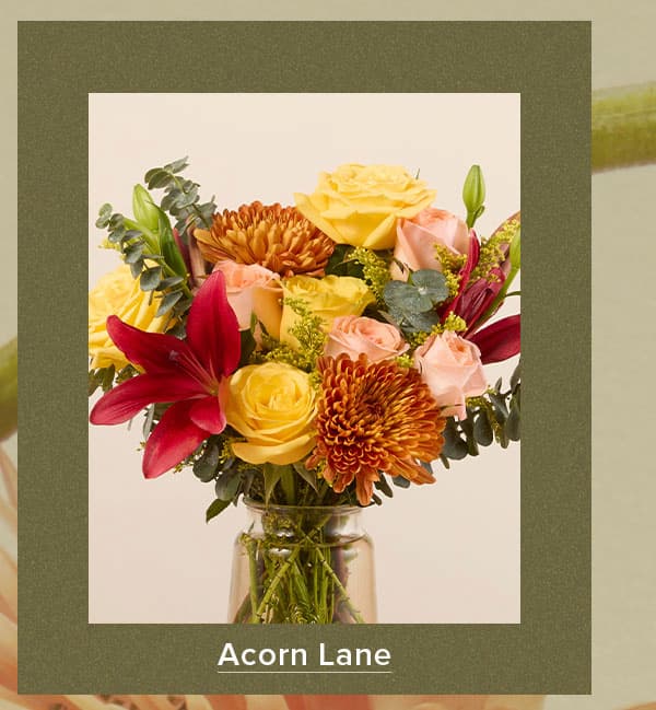 Acorn Lane