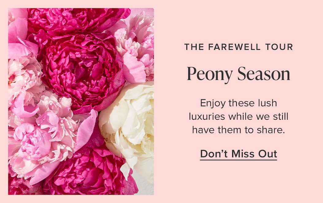 The Farewell Tour: Peony Season. Enjoy these lush luxuries while we still have them to share. Don't Miss Out
