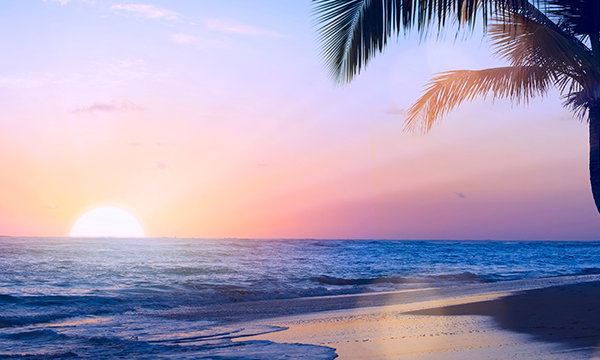 Caribbean