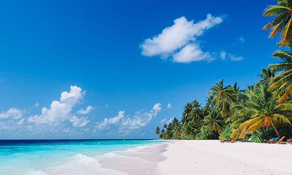 Caribbean