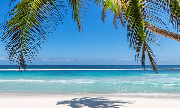 Caribbean