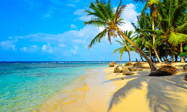Caribbean