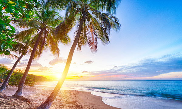 Caribbean